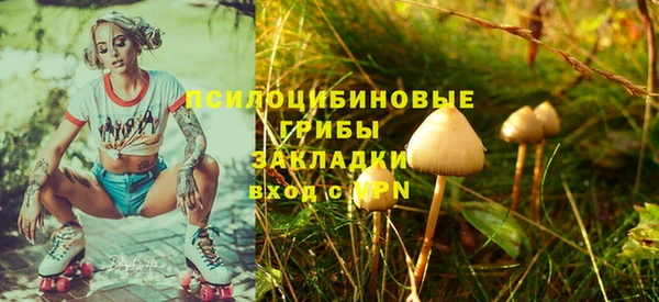 а пвп мука Зеленодольск